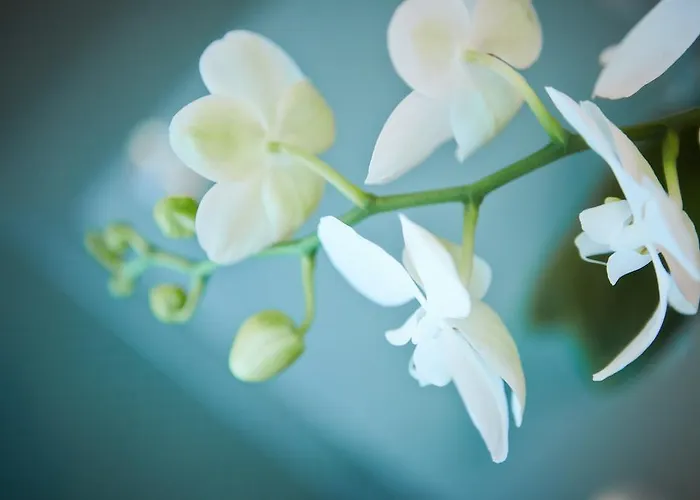 Hotel Primhotel Oderzo