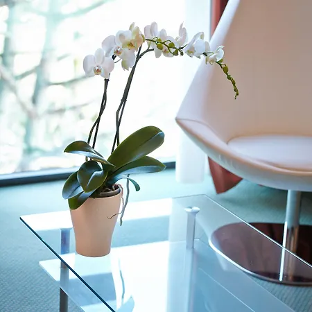 Primhotel فندق أوديرزو