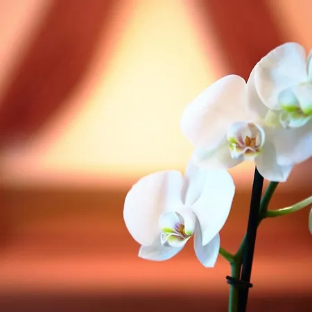 Primhotel אודרזו