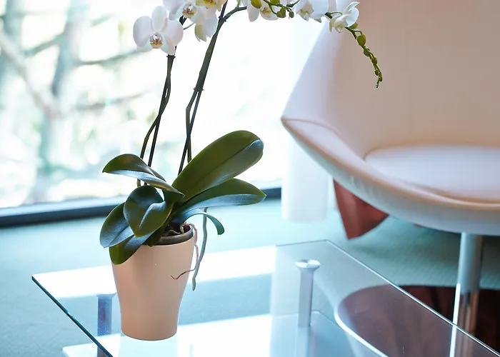 Primhotel Hotel Oderzo